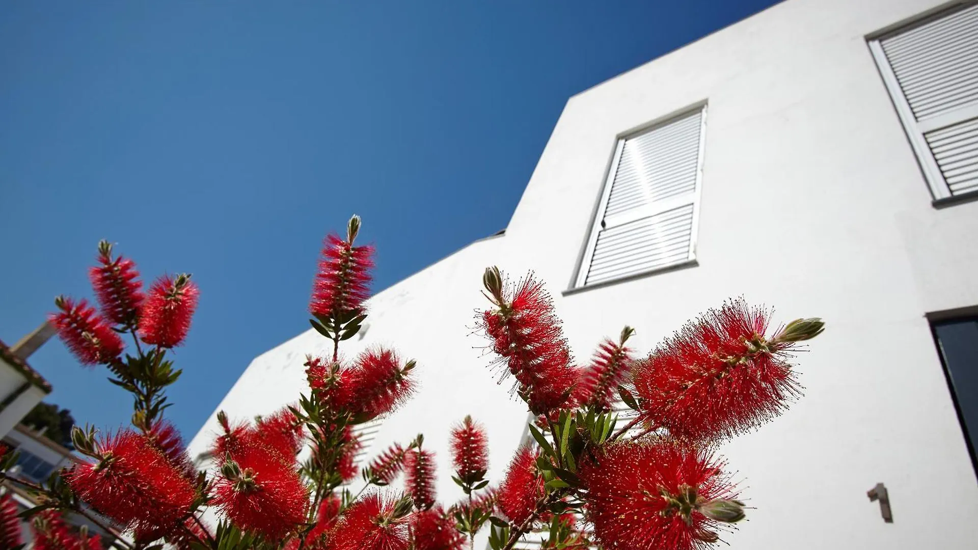 Διαμέρισμα Canvas Apartments&Lofts Cadaqués